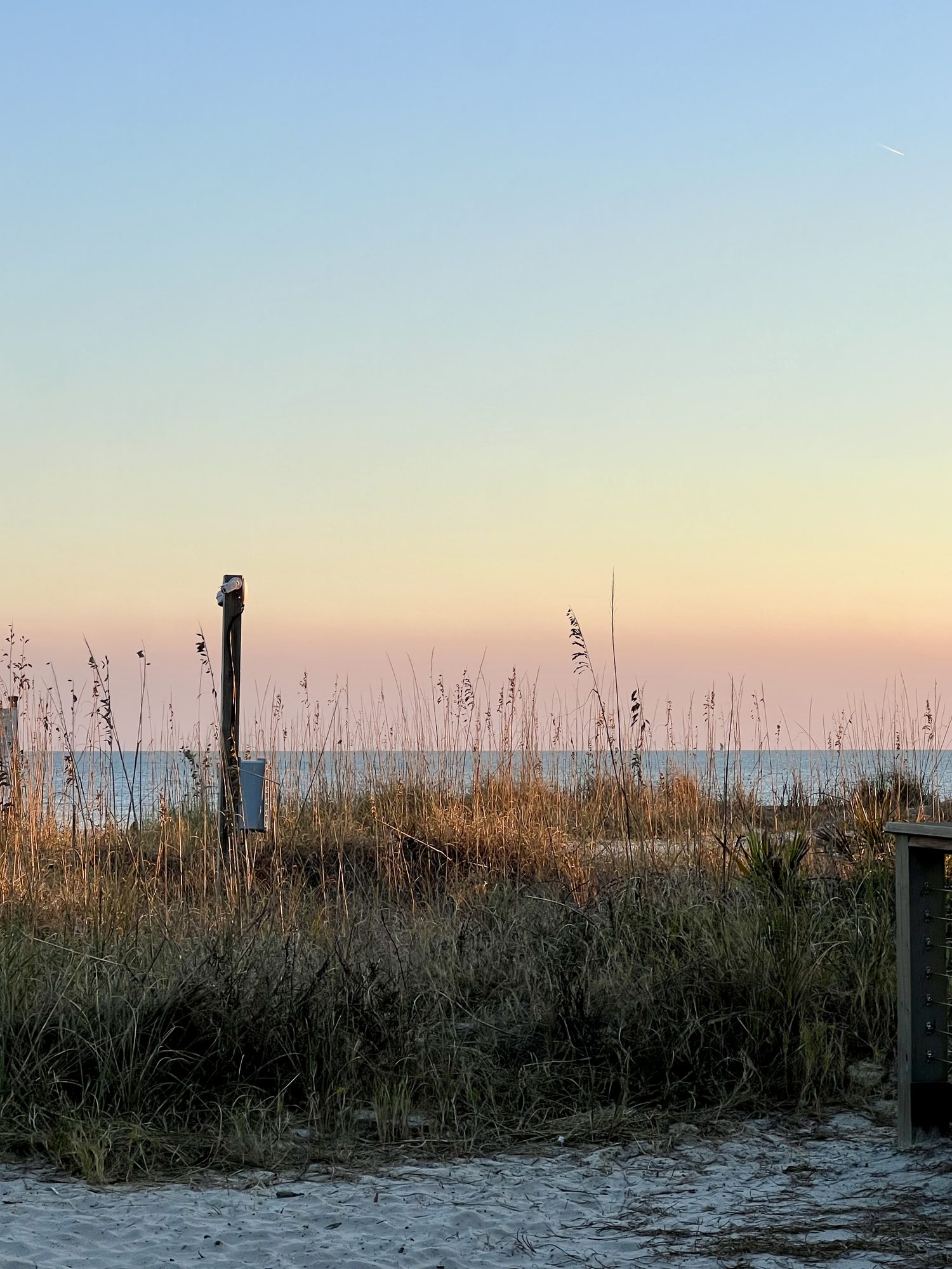 Coastal sunrise, grasses in the foreground and open sky beyond.