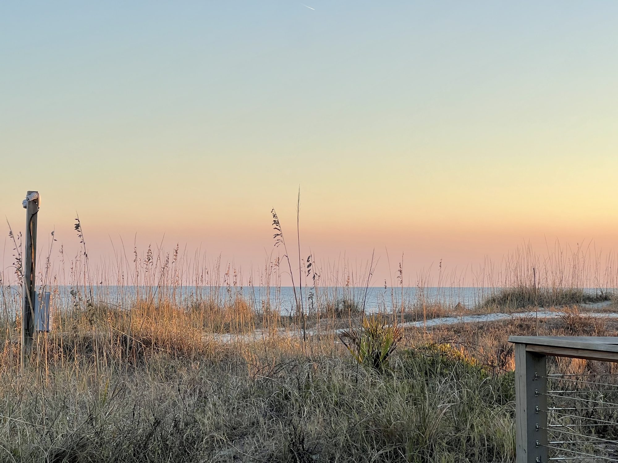 Coastal sunrise with grasses, a fence line and the ocean beyond.