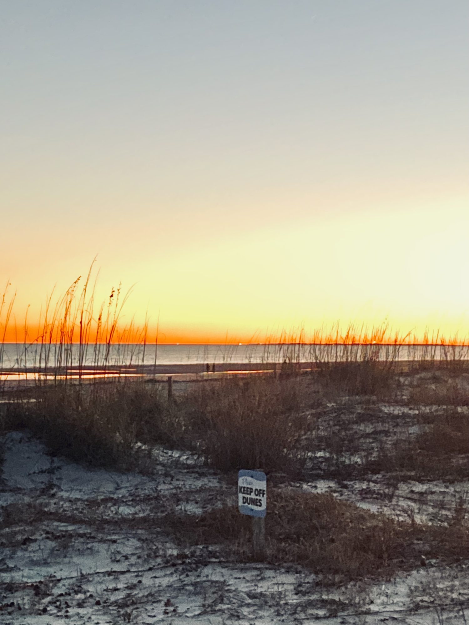 Sunset over the beach, sea oats along the dune line.